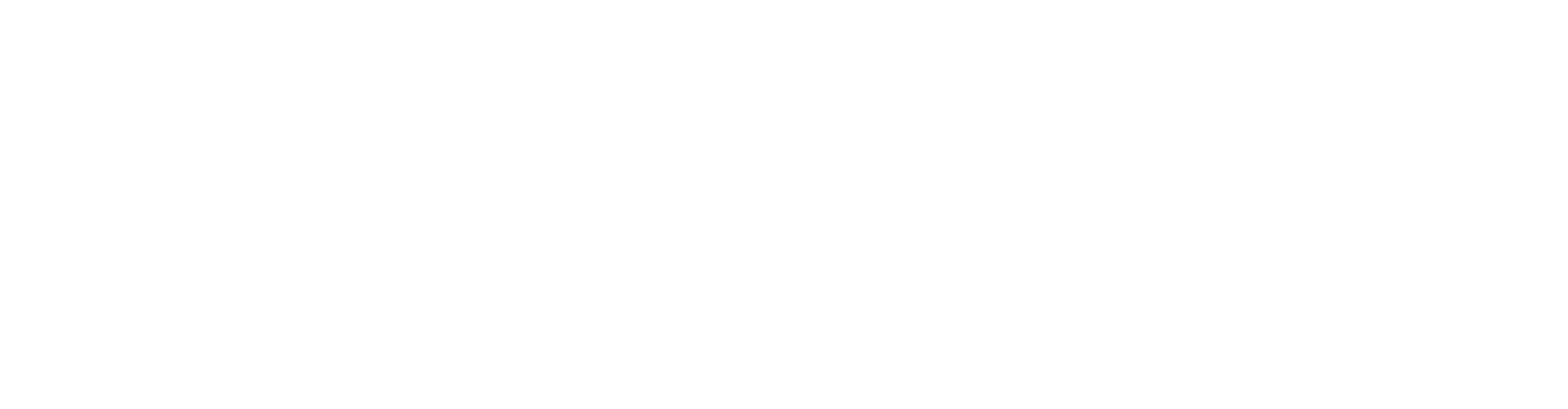 Vida Digital Solutions